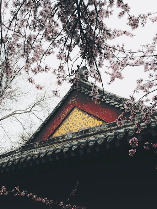A building with a red roof and pink blossoms