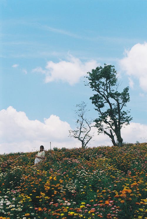 A person standing in a field of flowers
