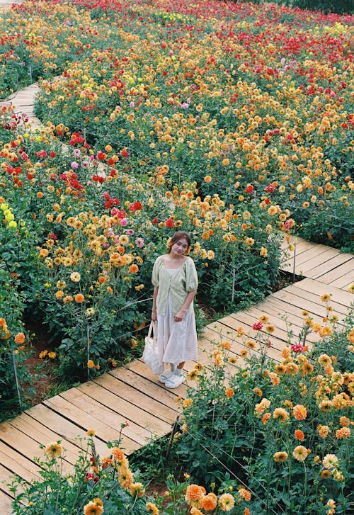 A woman walking through a flower garden with a wooden walkway