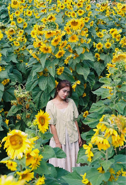 A woman standing in a field of sunflowers