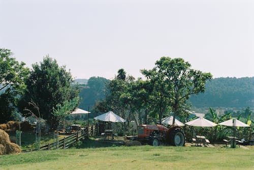 A tractor is parked in a field with hay bales