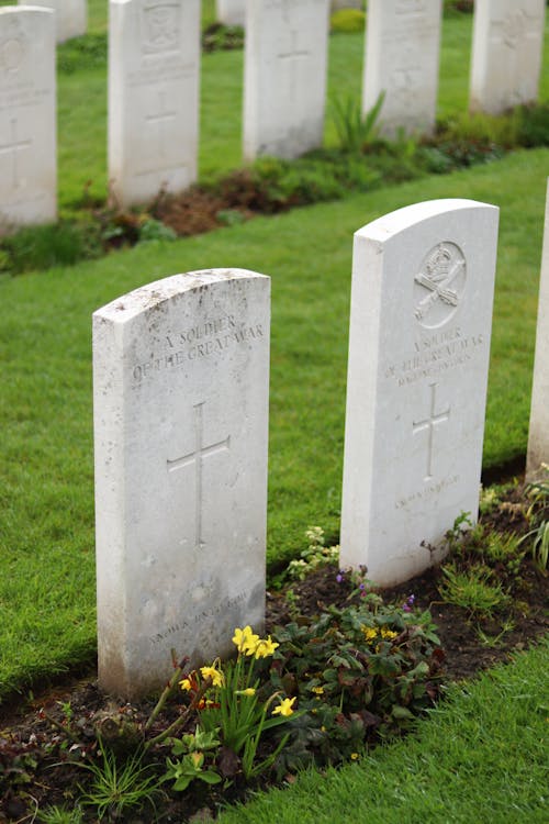 Free The graves of soldiers in a field Stock Photo