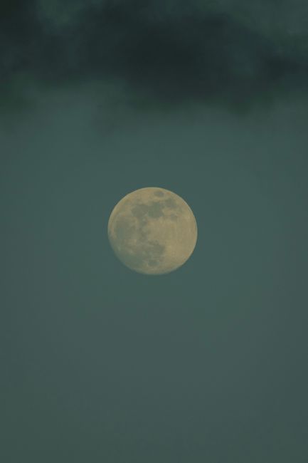 Fotomural Una vista serena de una luna llena rodeada de nubes contra el cielo nocturno.