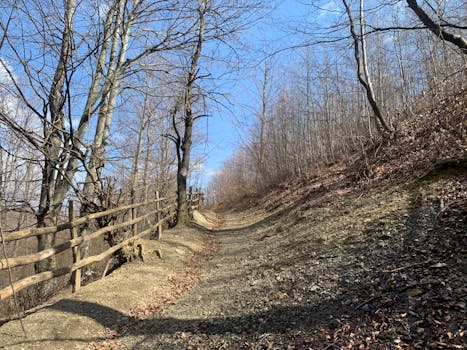 Cara Analisis Saham Jangka Panjang di Stockbit untuk Pemula