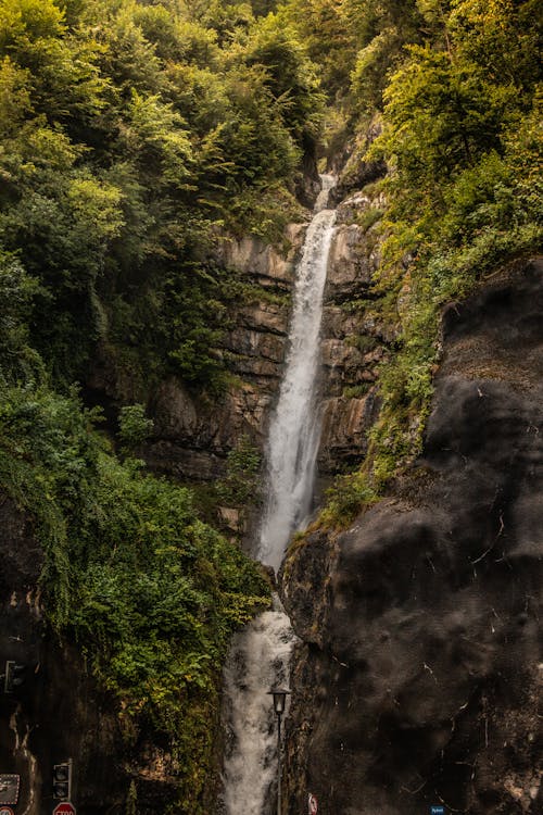 Foto stok gratis air mengalir, air terjun, alam