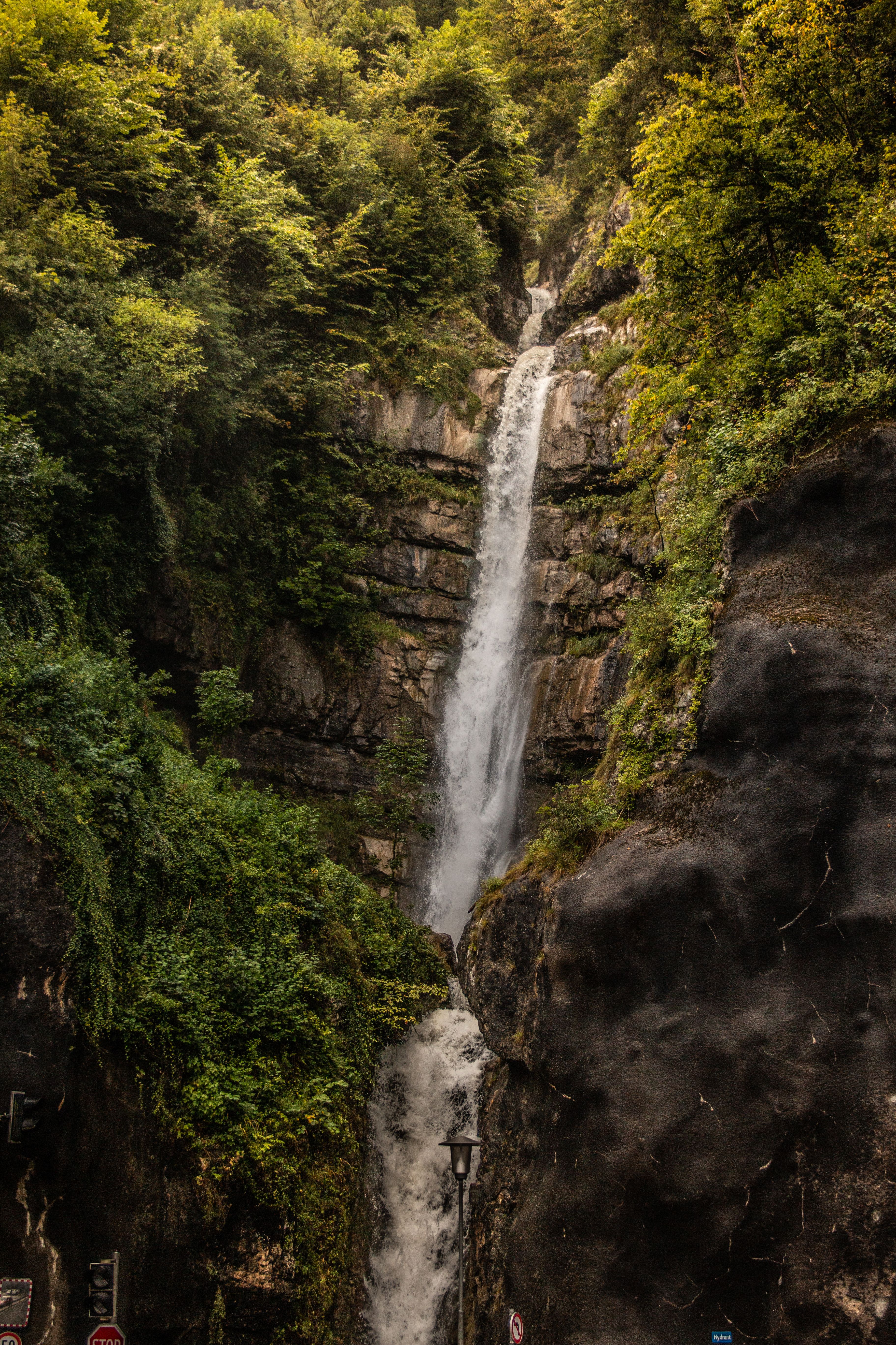Waterfall on Rocks in Forest · Free Stock Photo