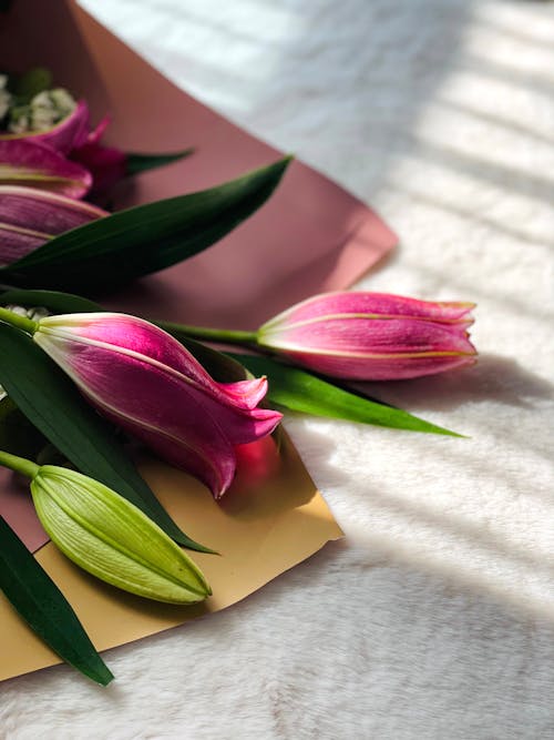 Immagine gratuita di bouquet, fiori, impianti