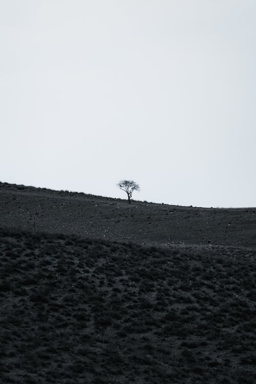 açık hava, altın rengi gün batımı, boş arazi içeren Ücretsiz stok fotoğraf