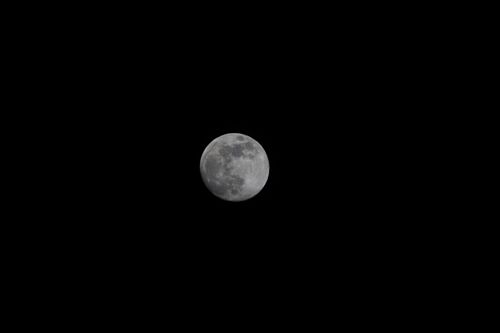 Free Crisp image of a full moon against a black sky capturing lunar details. Stock Photo