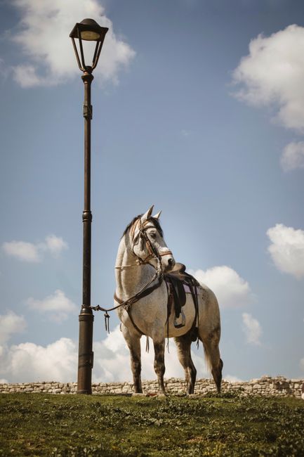 A powerful horse stands gracefully beside an antique lamp post under a bright sky in rural Albania.