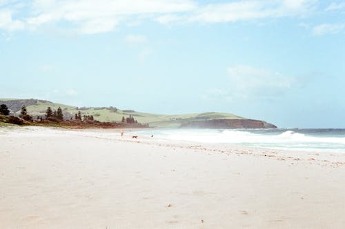 Бесплатное стоковое фото с волны, ломка, море