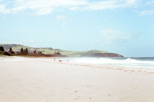 Beautiful sandy beach at Gerringong, NSW Australia with rolling waves and lush greenery.