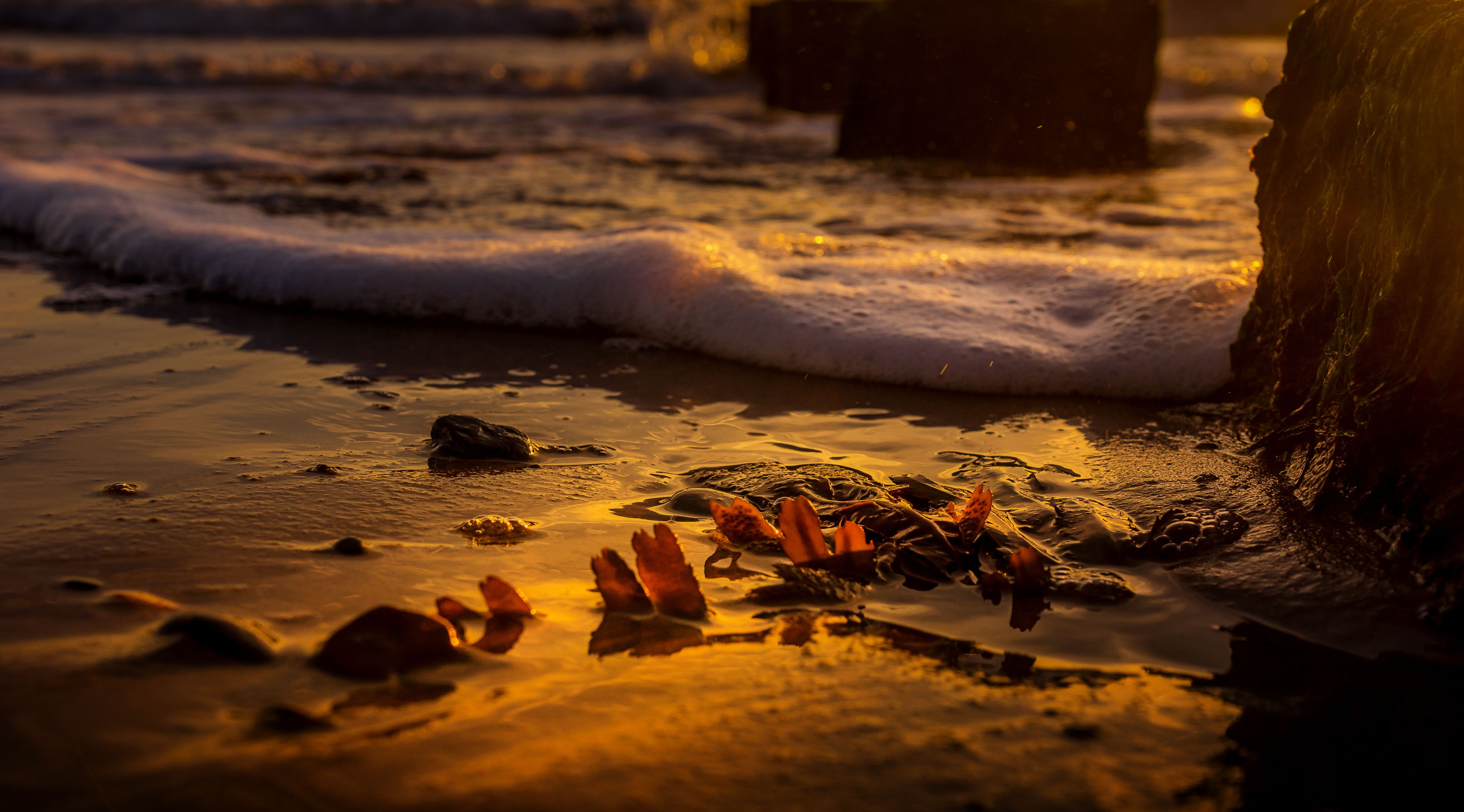 'beach