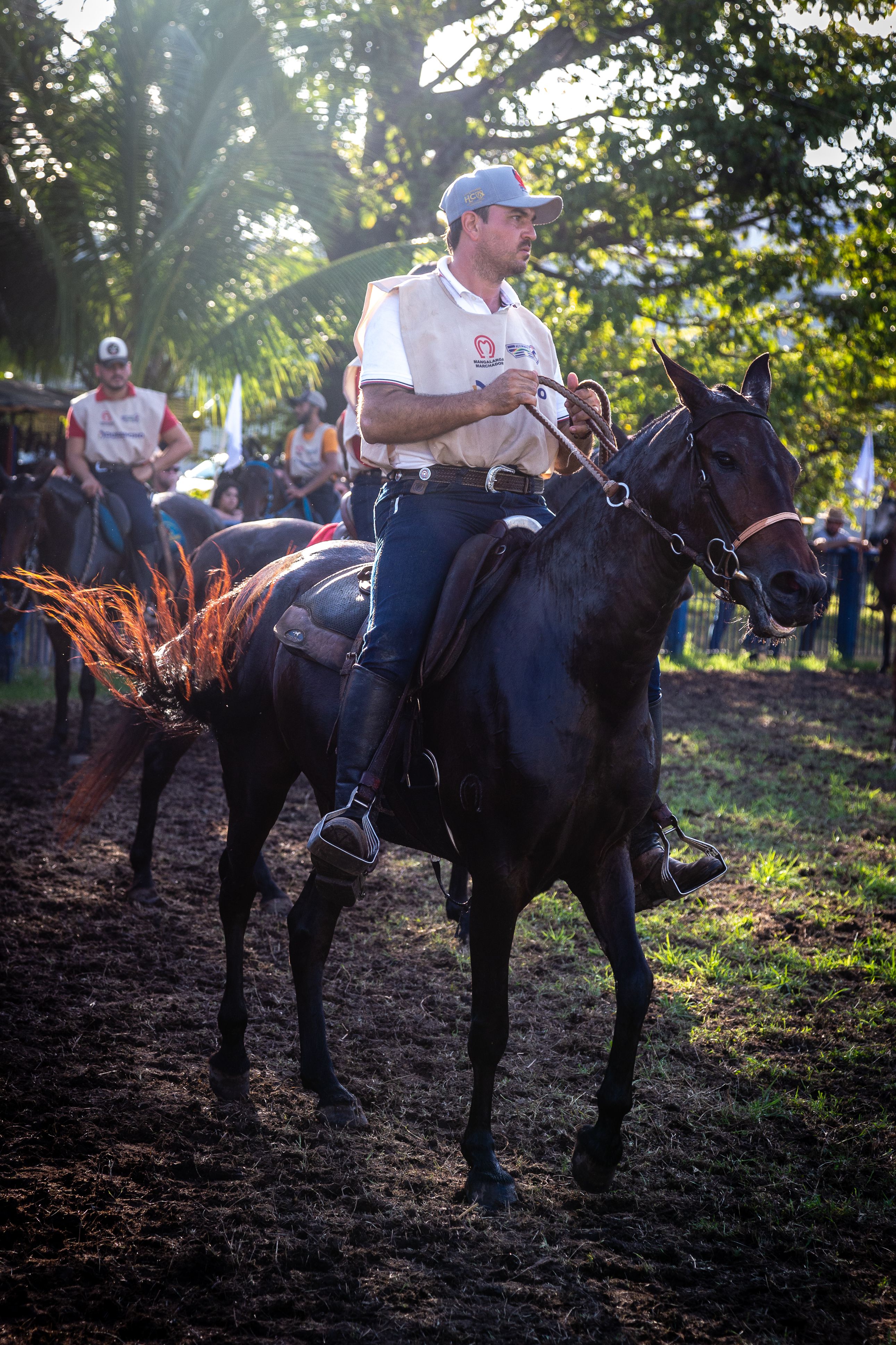 Man on Rearing Horse · Free Stock Photo