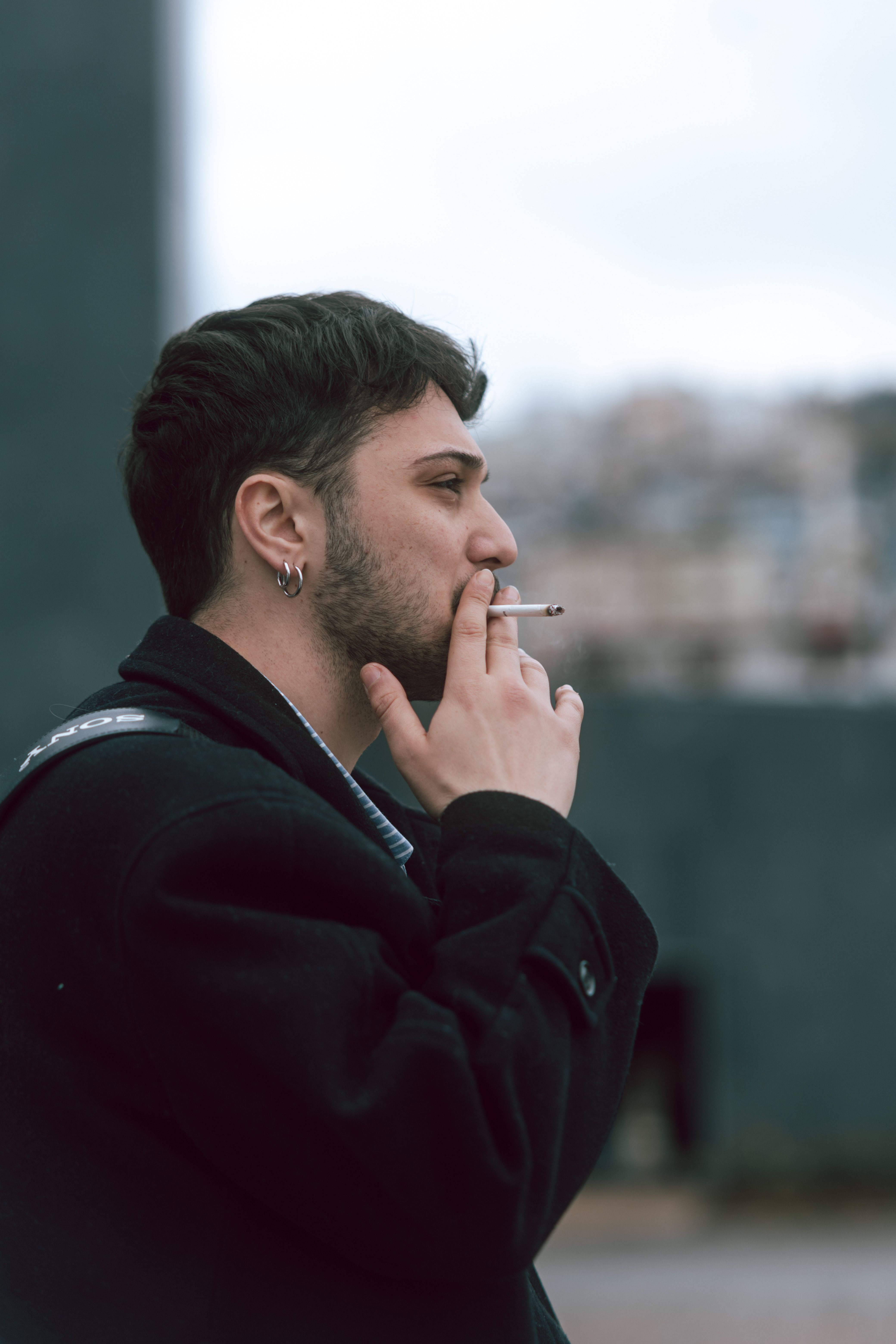 cigarette smoking primarily affects the The pathophysiology of cigarette smoking and cardiovascular disease: An  update