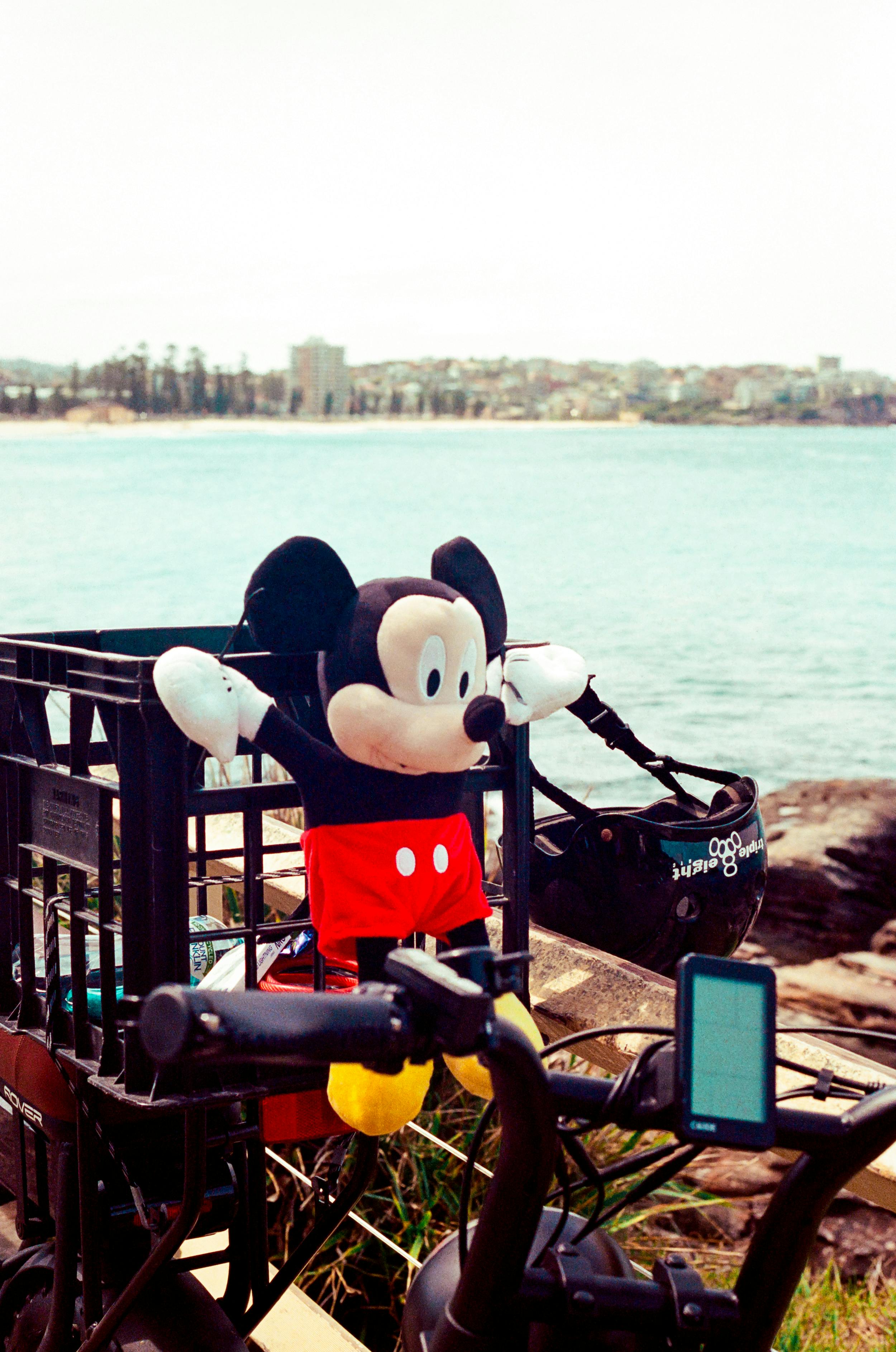 mickey mouse plushie on a bike by a seashore