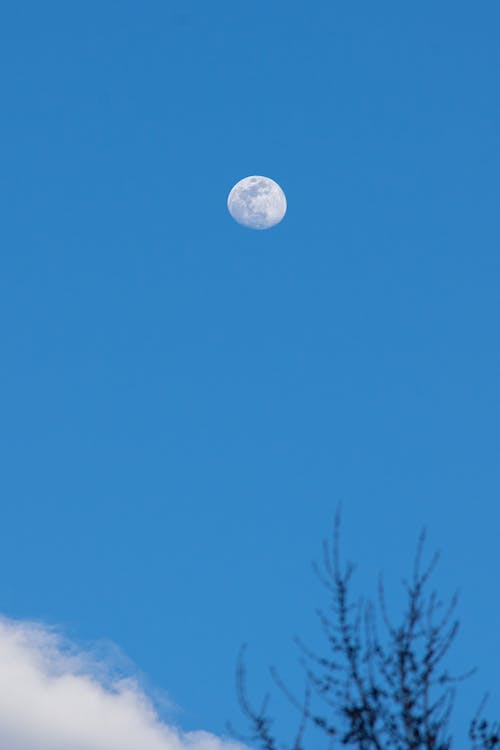 Foto d'estoc gratuïta de brusa, lluna, skye blau