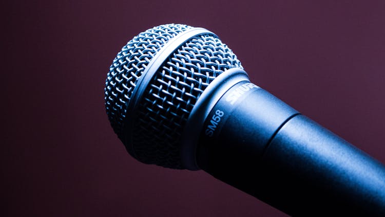 Black Dynamic Microphone