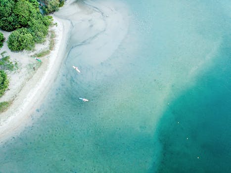 与宁静的桨板者一同探索库鲁宾海滩，从上方欣赏充满活力的蓝色海水和令人惊叹的海景