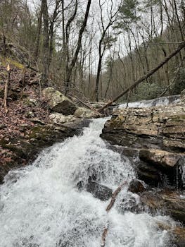 A serene waterfall flowing through rocks amidst a lush forest, showcasing nature's beauty.