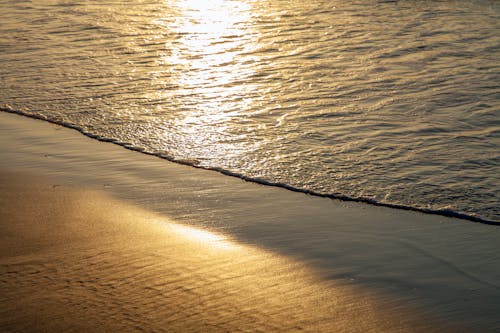 Безкоштовне стокове фото на тему «берег моря, Захід сонця, золотий світло»