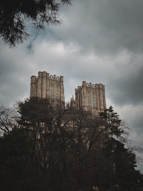 A large castle with trees in the background