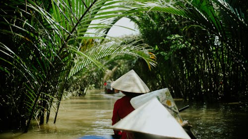 A man in a boat is riding through a jungle