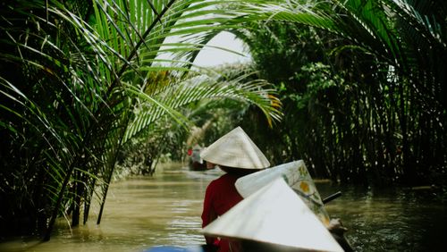 Free Peaceful journey in a traditional boat through lush tropical greenery on a river. Stock Photo