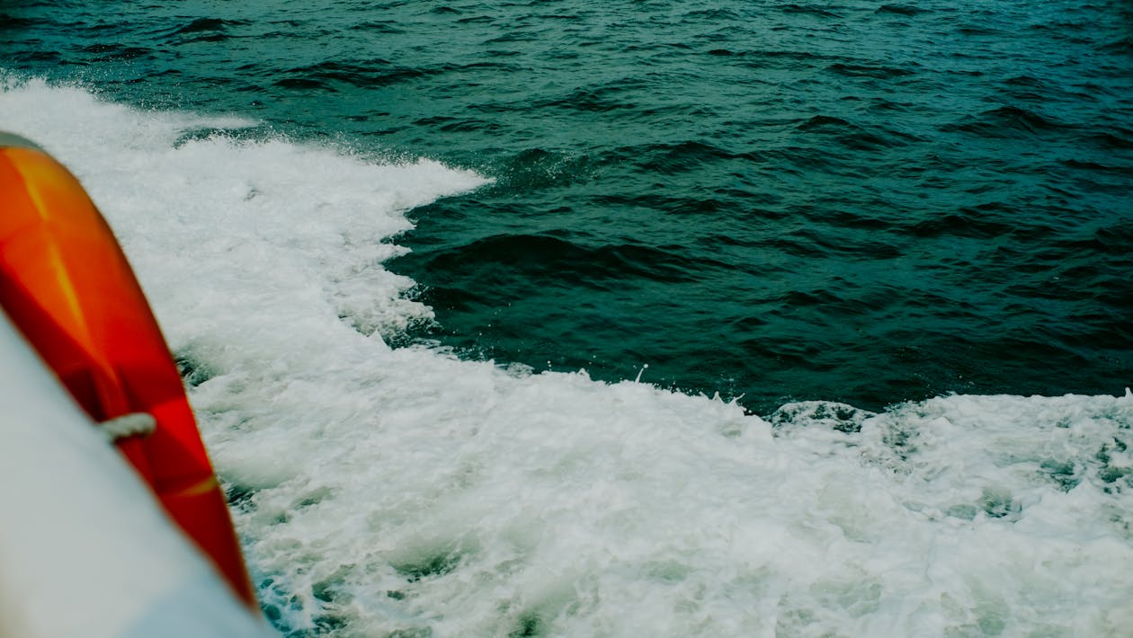 Foto profissional grátis de ondas, ondulado, praias