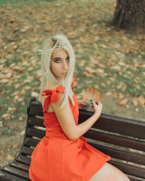 Fotobanka s bezplatnými fotkami na tému blondína, červené šaty, elegancia