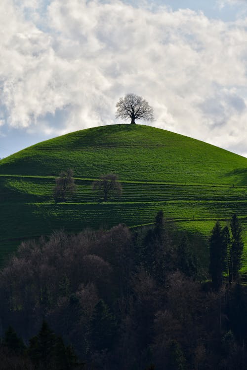 Kostnadsfri bild av ensam, kulle, landsbygden