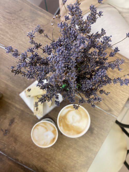 Fotobanka s bezplatnými fotkami na tému cappuccina, kávy, kvety