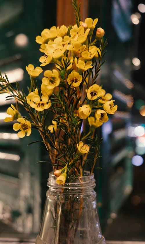 Yellow flowers in a glass vase on a table