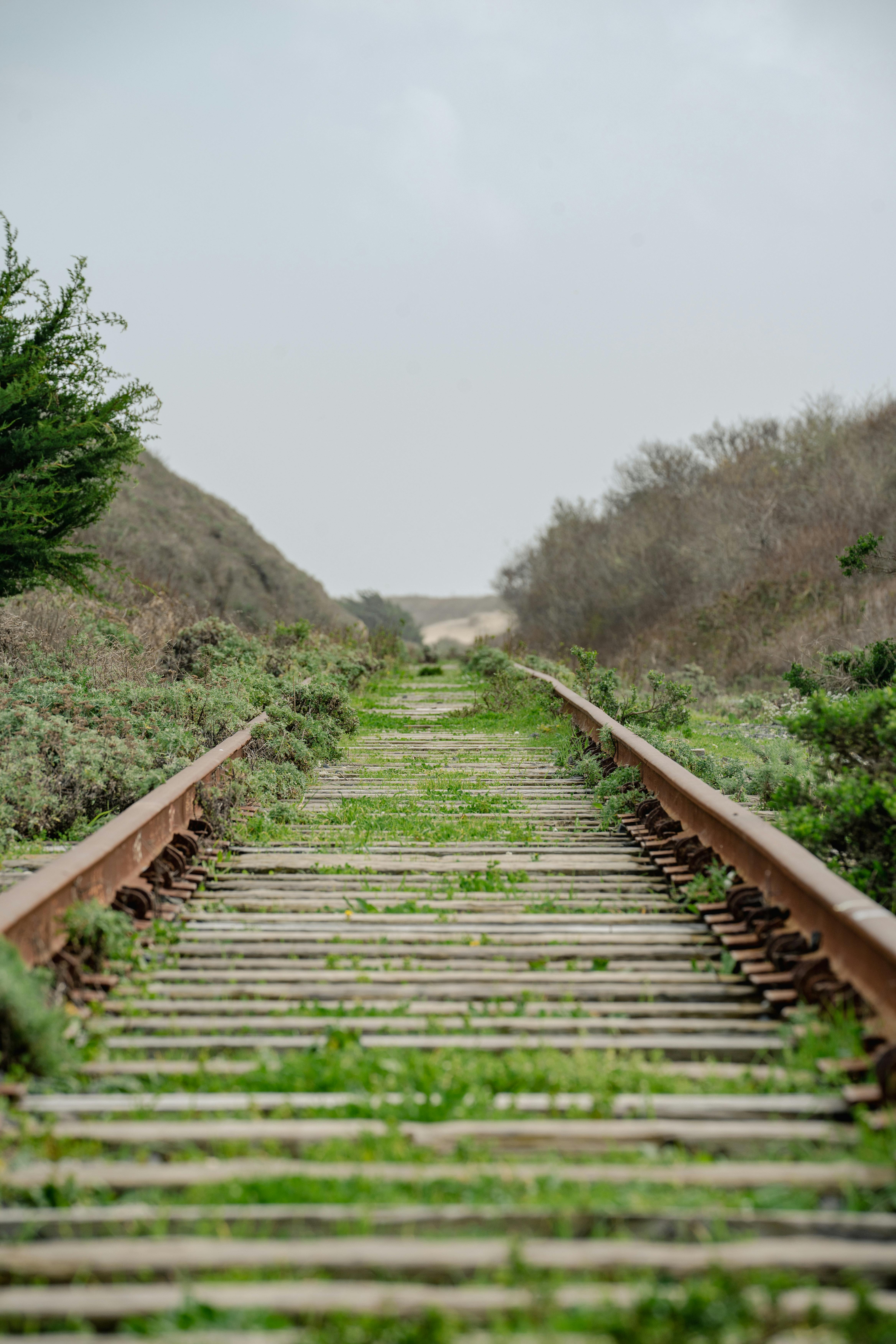 A desolate railway track surrounded by lush greenery in an outdoor setting, emphasizing nature's reclamation.