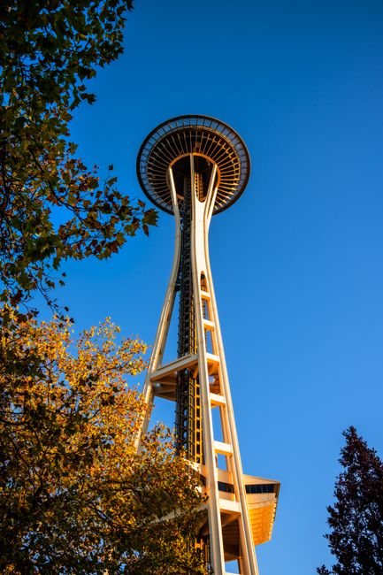 The Space Needle in Seattle framed by autumn leaves under a clear sky.