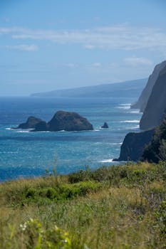 Photo by Leon Bastian Stunning view of Hawaiian coastline with cliffs, clear blue ocean, and lush greenery.