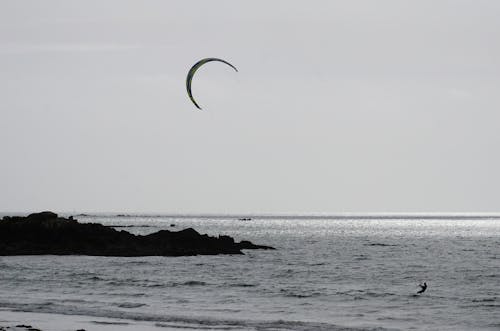 Foto stok gratis kitesurfer, laut, lautan