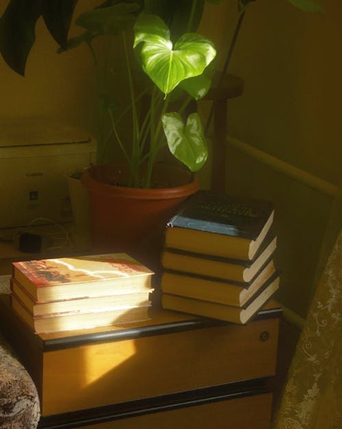 A bookcase with books on it next to a plant