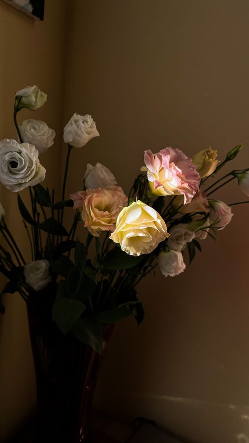 Free Elegant bouquet of pink and white roses in soft lighting on a wall background. Stock Photo