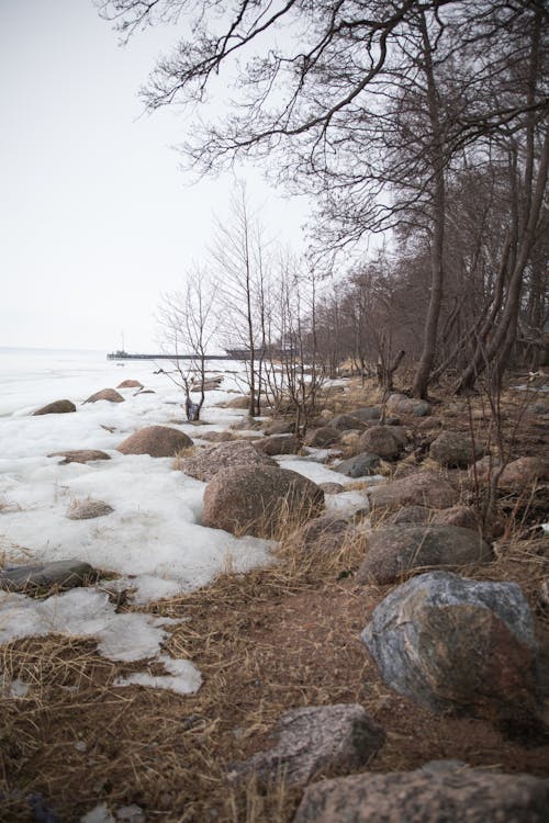 A rocky shore with ice and rocks