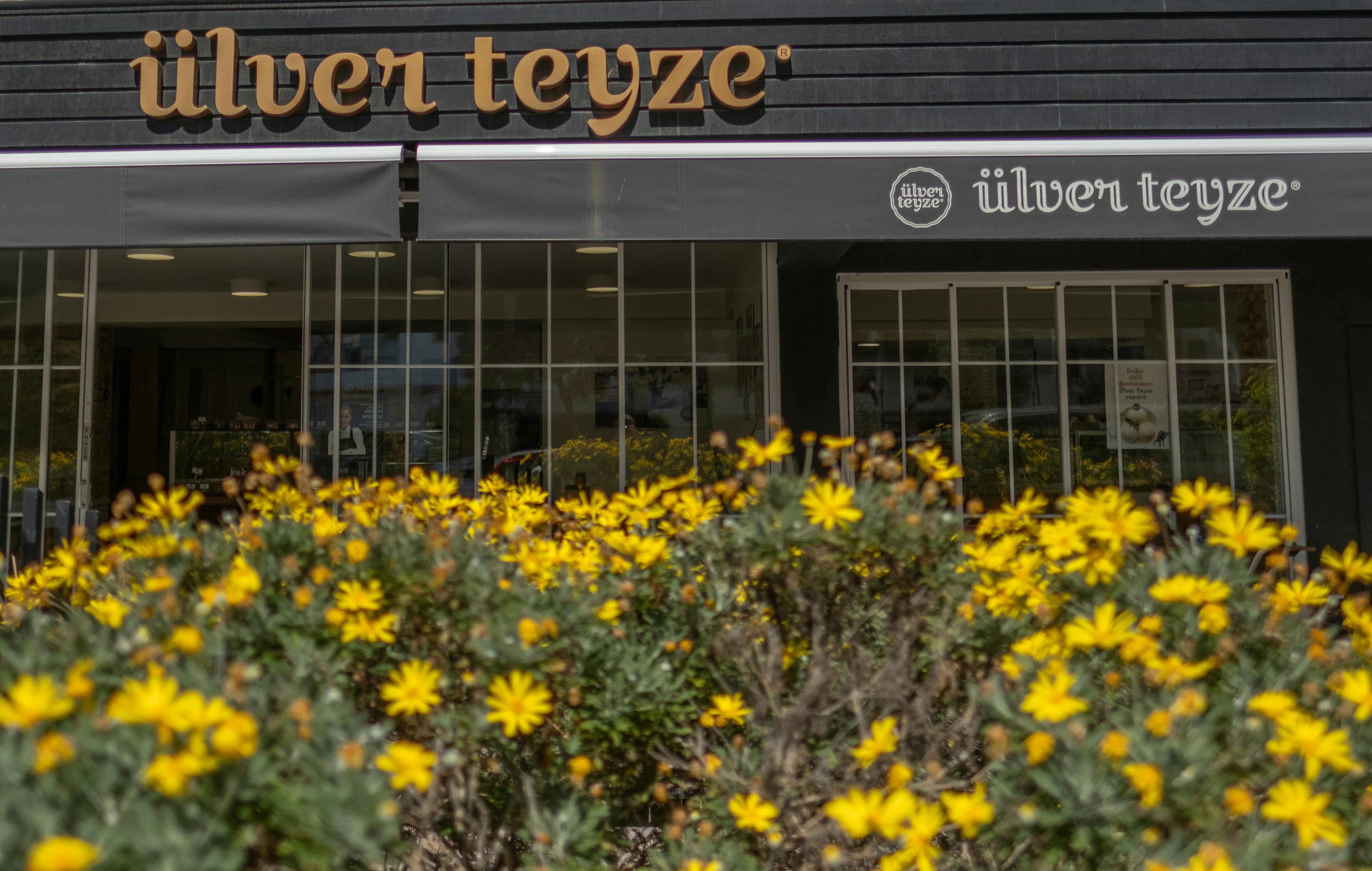 Cozy restaurant entrance in Izmir, adorned with blooming yellow daisies and decorative signage, inviting ambiance.