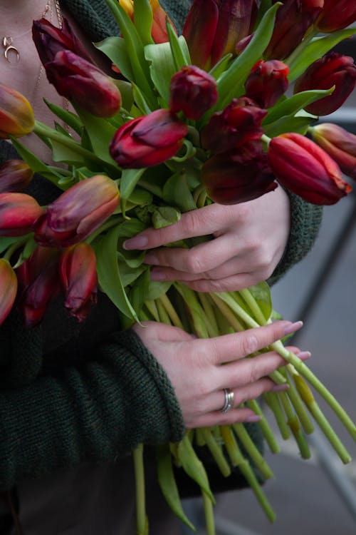 A woman holding a bunch of red tulips