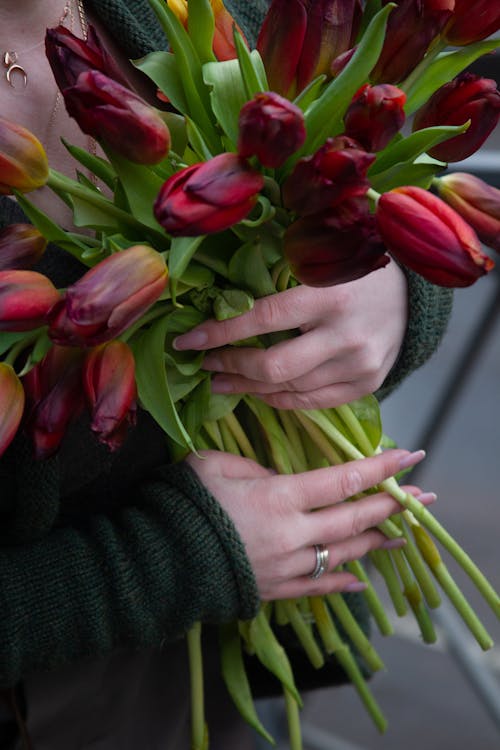 Gratis arkivbilde med blader, blomsterblad, bukett