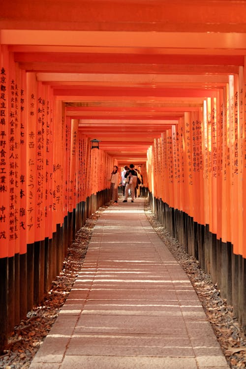 Fotos de stock gratuitas de Japón, kyoto, mil puertas torii