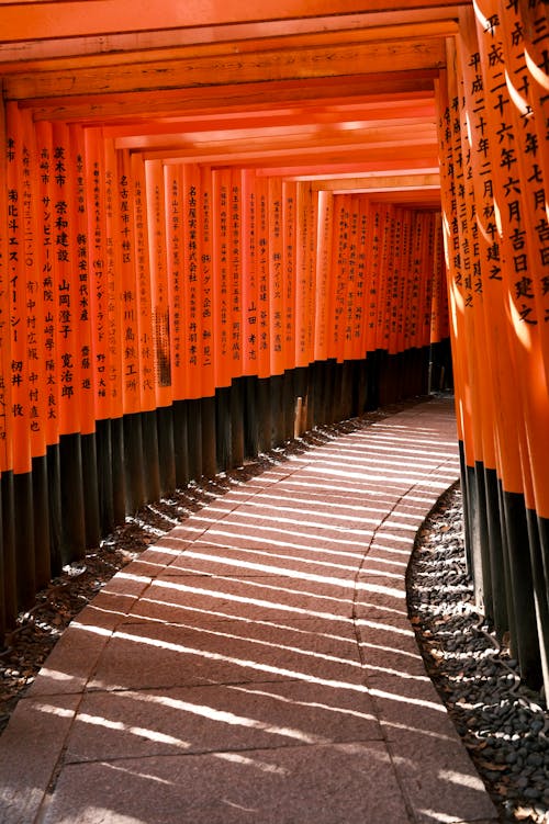 Fotobanka s bezplatnými fotkami na tému cestovať, Japonsko, Kjóto