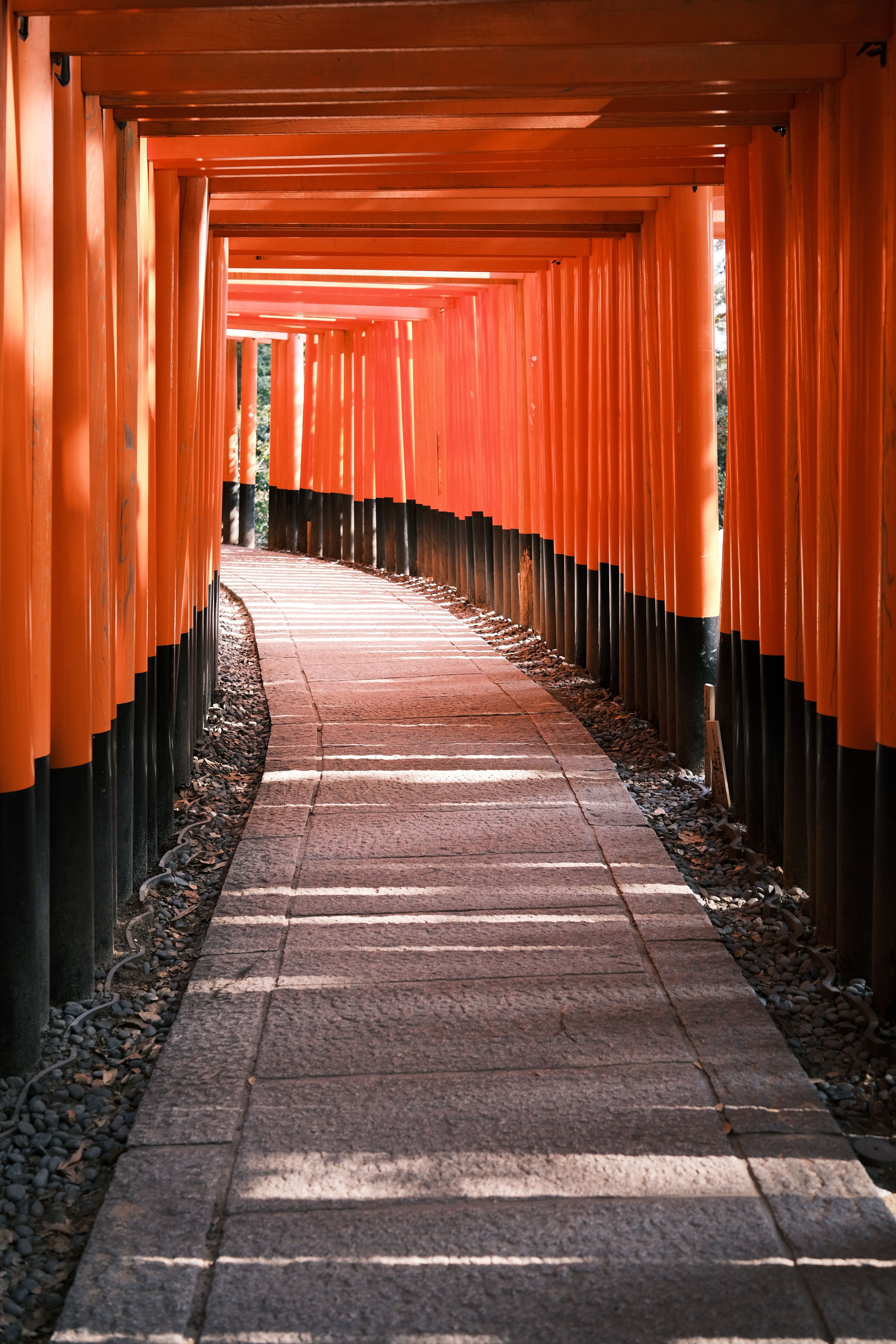 Fushimi Inari Taisha Torii Gate Pathway in Kyoto · Free Stock Photo
