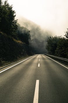Deserted asphalt road disappearing into mist, surrounded by conifers.