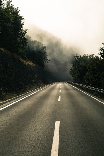Deserted asphalt road disappearing into mist, surrounded by conifers.