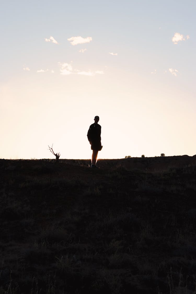 Silhouette Of Person Standing On Desert