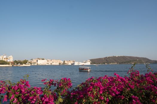 Explore the serene waters of Lake Pichola with Udaipur's City Palace in the background and vibrant bougainvillea flowers.
